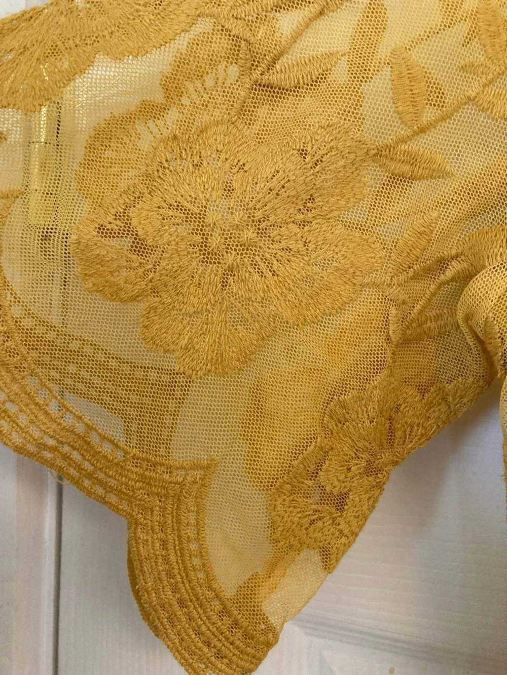 Honey Punch Sheer Lace Maxi Dress with Deep V Neck - Picture 3 of 9